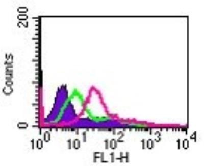 IL24 Antibody in Flow Cytometry (Flow)