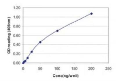 Influenza A NP Antibody in ELISA (ELISA)