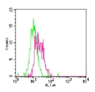 TLR11 Antibody in Flow Cytometry (Flow)