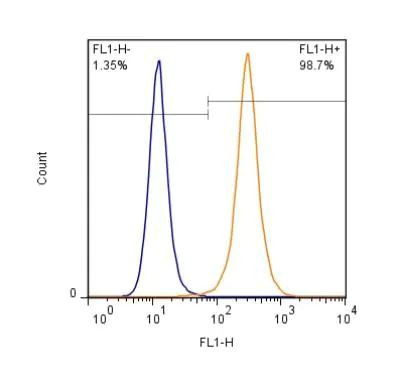 Lamin A/C Antibody in Flow Cytometry (Flow)