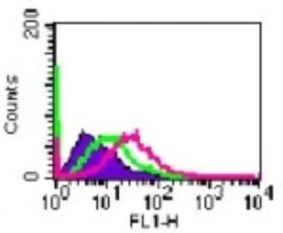 IL20RA Antibody in Flow Cytometry (Flow)