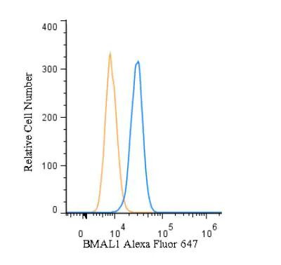 BMAL1 Antibody in Flow Cytometry (Flow)