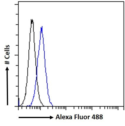 AKT3 Antibody in Flow Cytometry (Flow)