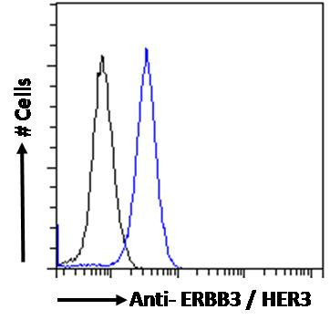ErbB3 Antibody in Flow Cytometry (Flow)