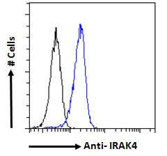 IRAK4 Antibody in Flow Cytometry (Flow)