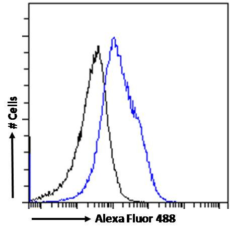 MyD88 Antibody in Flow Cytometry (Flow)