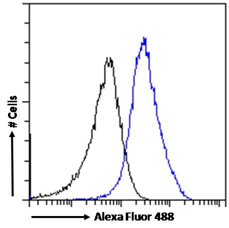 RANBP1 Antibody in Flow Cytometry (Flow)