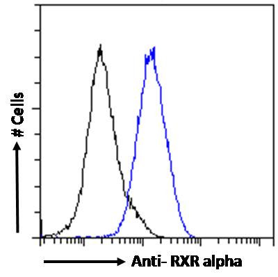 RXRA Antibody in Flow Cytometry (Flow)