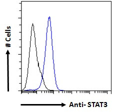 STAT3 Antibody in Flow Cytometry (Flow)