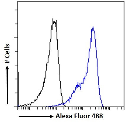 VDR Antibody in Flow Cytometry (Flow)