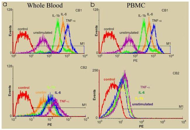 CNR2 Antibody in Flow Cytometry (Flow)