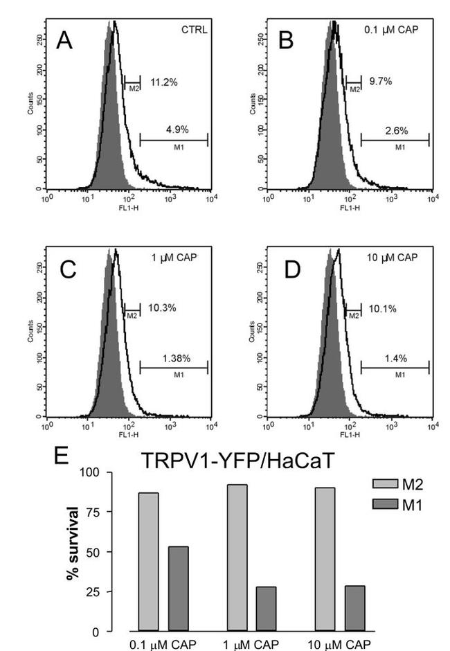 TRPV1 Antibody in Flow Cytometry (Flow)