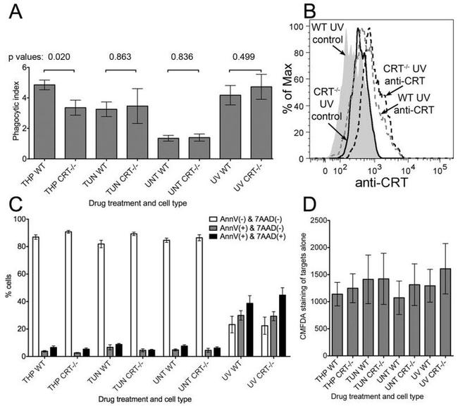 Calreticulin Antibody in Flow Cytometry (Flow)