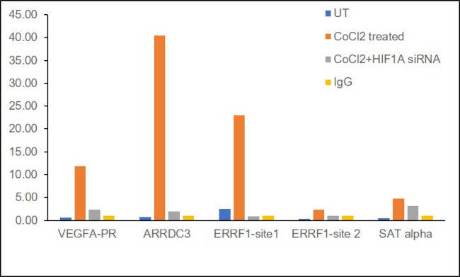 HIF1A Antibody in ChIP Assay (ChIP)