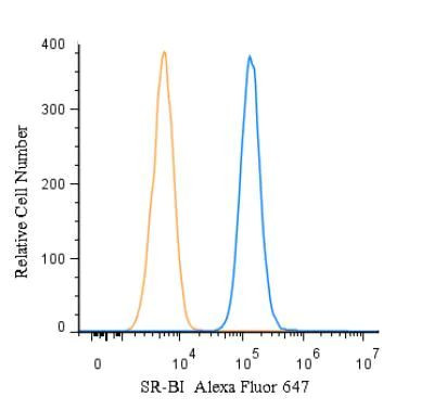 SR-BI Antibody in Flow Cytometry (Flow)