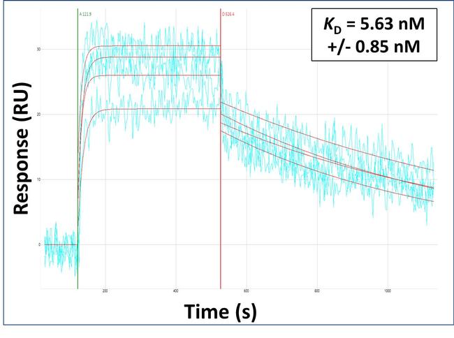 PSTK Antibody in Surface plasmon resonance (SPR)