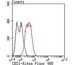 CD21 Antibody in Flow Cytometry (Flow)