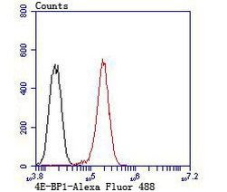 4EBP1 Antibody in Flow Cytometry (Flow)