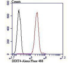 DDIT4 Antibody in Flow Cytometry (Flow)