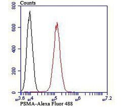 PSMA Antibody in Flow Cytometry (Flow)