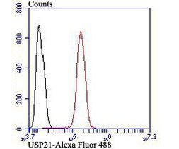 USP21 Antibody in Flow Cytometry (Flow)