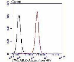 CD266 (TWEAK Receptor) Antibody in Flow Cytometry (Flow)