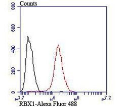 ROC1 Antibody in Flow Cytometry (Flow)