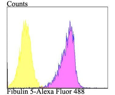 Fibulin 5 Antibody in Flow Cytometry (Flow)