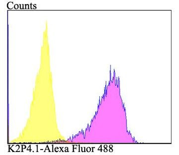 KCNK4 Antibody in Flow Cytometry (Flow)