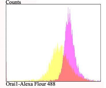 ORAI1 Antibody in Flow Cytometry (Flow)