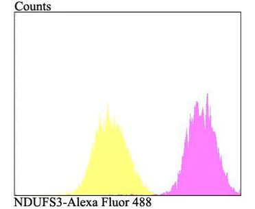 NDUFS3 Antibody in Flow Cytometry (Flow)