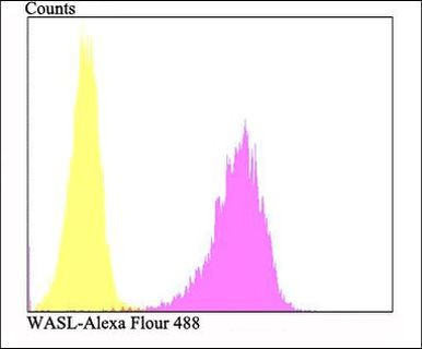 N-WASP Antibody in Flow Cytometry (Flow)