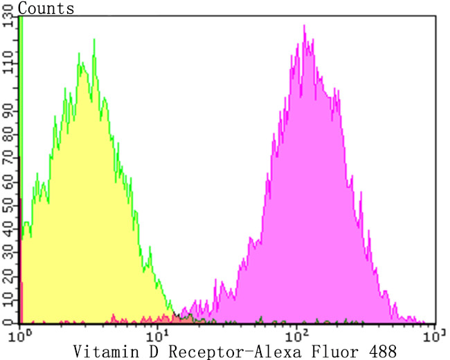 VDR Antibody in Flow Cytometry (Flow)