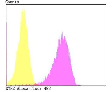 Ryanodine Receptor Antibody in Flow Cytometry (Flow)