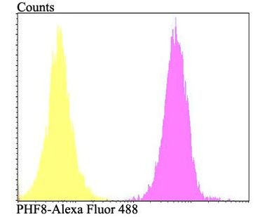 PHF8 Antibody in Flow Cytometry (Flow)