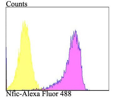 NFIC Antibody in Flow Cytometry (Flow)