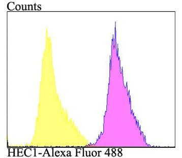 HEC1 Antibody in Flow Cytometry (Flow)