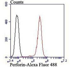 Perforin Antibody in Flow Cytometry (Flow)