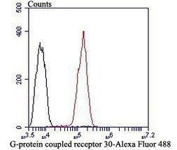 GPR30 Antibody in Flow Cytometry (Flow)