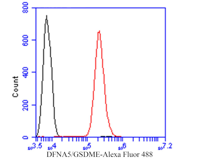 DFNA5 Antibody in Flow Cytometry (Flow)