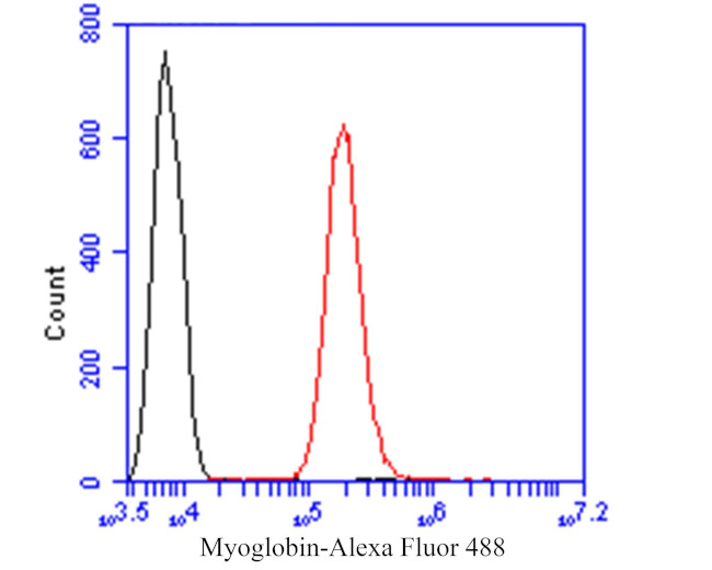 Myoglobin Antibody in Flow Cytometry (Flow)