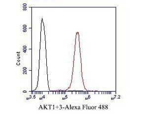 AKT3 Antibody in Flow Cytometry (Flow)