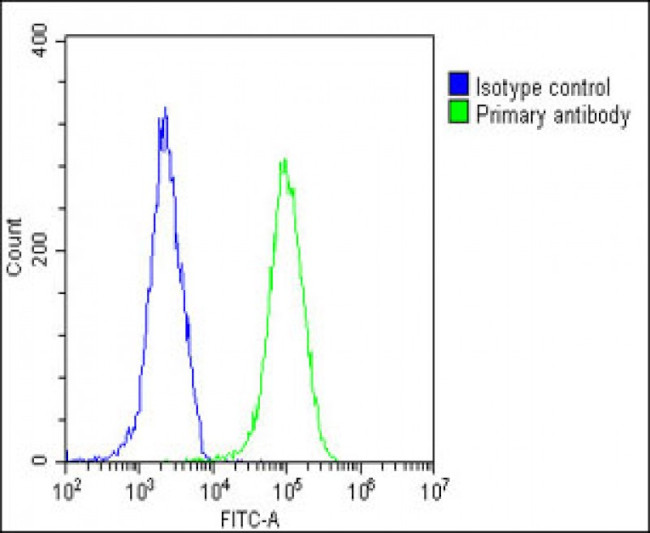 Bax Antibody in Flow Cytometry (Flow)