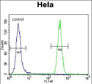 GRP78 Antibody in Flow Cytometry (Flow)