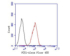 P2X1 Antibody in Flow Cytometry (Flow)