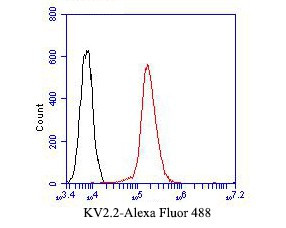 Kv2.2 Antibody in Flow Cytometry (Flow)