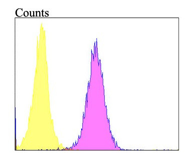 Follistatin Antibody in Flow Cytometry (Flow)