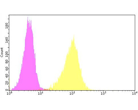 CACNG2 Antibody in Flow Cytometry (Flow)