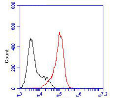 KCNN2 Antibody in Flow Cytometry (Flow)