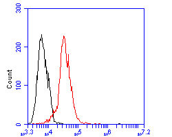 OXPAT Antibody in Flow Cytometry (Flow)